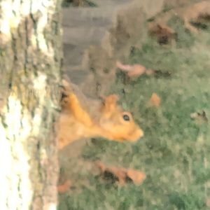 Meet your Posher, Noah